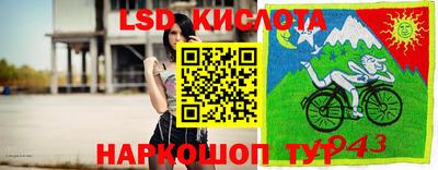 Альфа ПВП Кимры