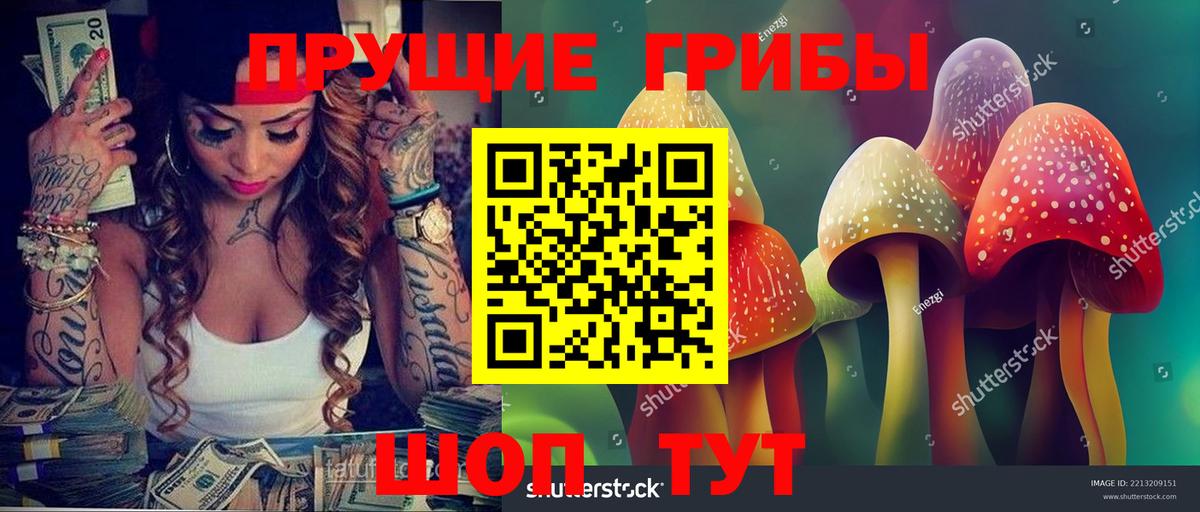 Галлюциногенные грибы Psilocybine cubensis  Вход с VPN  Наро-Фоминск 
